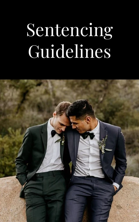 Voyeurism Sentencing Guidelines Velvet Watch