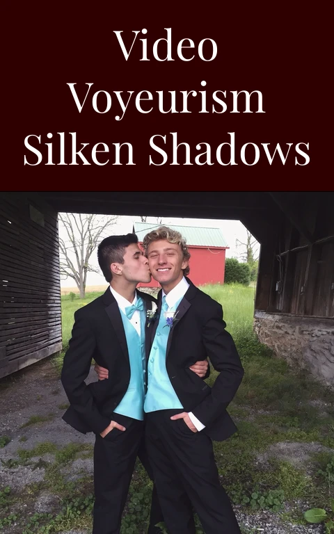 Video Voyeurism Silken Shadows