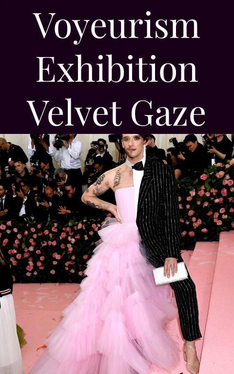 Voyeurism Exhibition Velvet Gaze